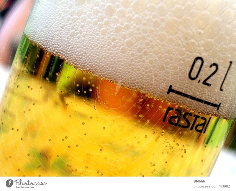 Ein kühles Helles! Bier trinken Alkohol Glas Kölsch 0.2
