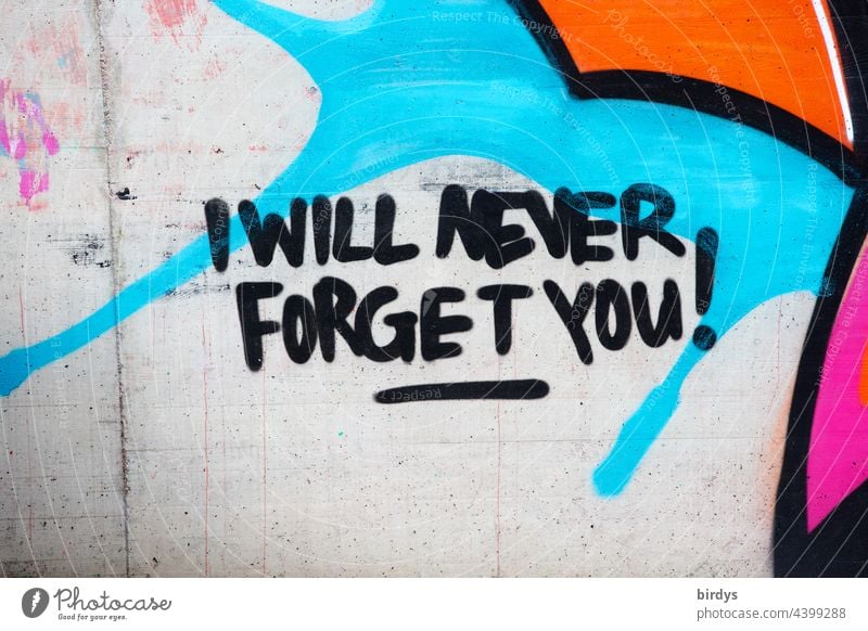 Ich werde dich nie vergessen, buntes Graffiti, Schriftzug auf englisch an einer Wand Nachruf Trennung Gedenken Liebe Beliebtheit Verlust Trauer Trennungsschmerz