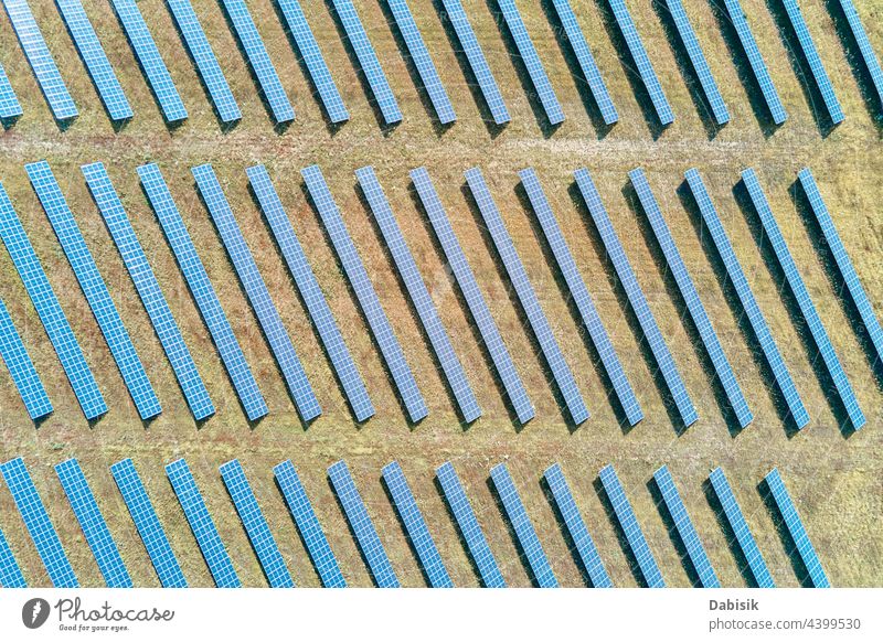 Sonnenkollektoren auf dem Feld solar Panel Batterie Bauernhof Energie Kraft alternativ nachhaltig regenerativ Pflanze Photovoltaik Ökosystem umgebungsbedingt