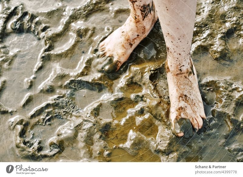 Füße im Matsch Wattwanderung barfuß schmutzig Schlamm Sand Wasser Strand Sil Fußspuren Wanderung Nordsee Wattenmeer