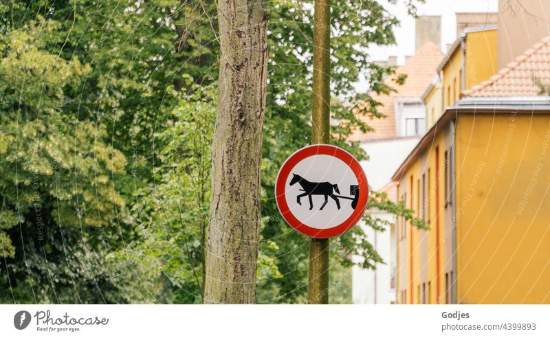 Straßenschild für Kutschverkehr an einem Mast in Polen Kutsche Strassenschild Schilder & Markierungen Hinweisschild Menschenleer Stadt Außenaufnahme Zeichen
