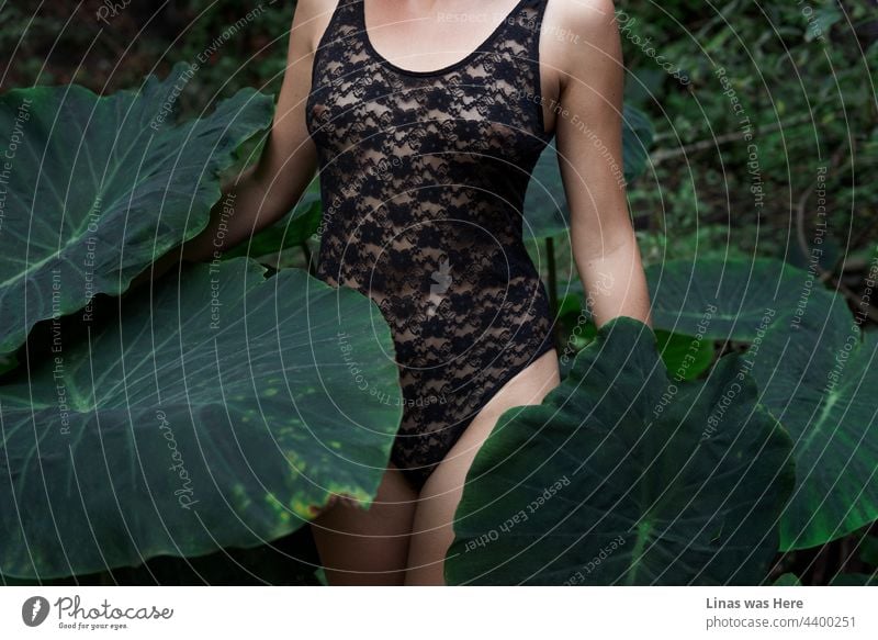 Ein Bild von einem jungen Mädchen, das einen sexy Body trägt, während es sich in einem grünen Dschungel irgendwo auf den Kanarischen Inseln befindet. Ein Dessous-Modell macht es sich gemütlich, während es von großen grünen Blättern umgeben ist. Man kann nicht genau erkennen, wer sie ist.