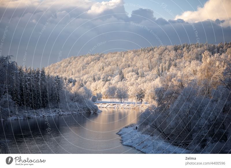 Schöner Winterblick auf den Fluss Gauja in Sigulda, Lettland Landschaft Flussufer Schnee Bäume Wald Wunderland Hintergrund Szene Wasser Sonnenlicht Tag Frost