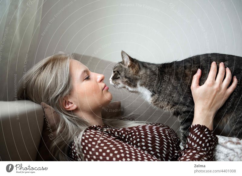 Junge hübsche Frau mit niedlichen Hauskatze liegt auf Sofa zu Hause Tier schön Katze Liege heimisch katzenhaft heimwärts Umarmung Verlegung Lifestyle Besitzer