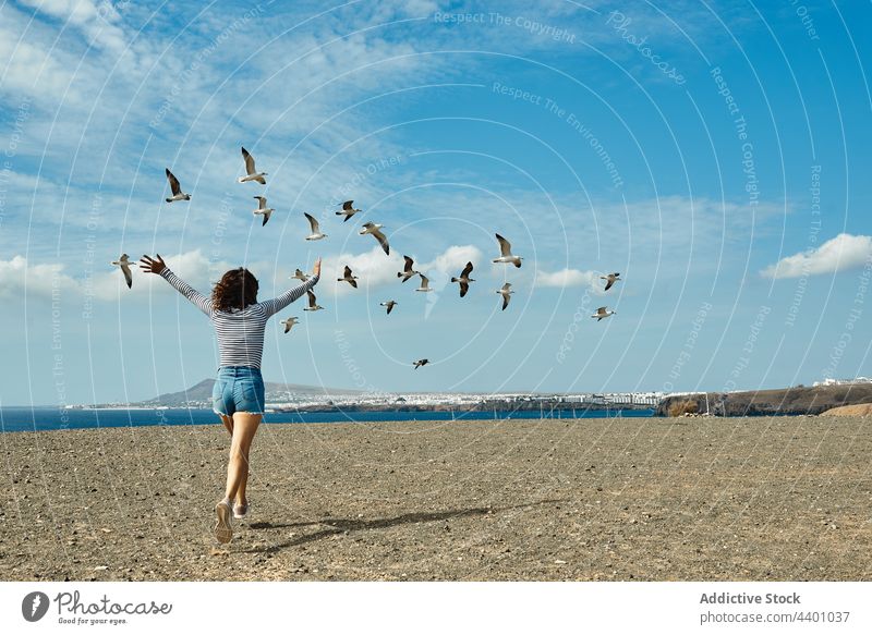 Unbekannte Frau jagt Vögel am Meeresufer Vogel Verfolgung laufen Möwe Fliege Sommer Wochenende Urlaub Fuerteventura Spanien Kanarische Inseln jung Blauer Himmel