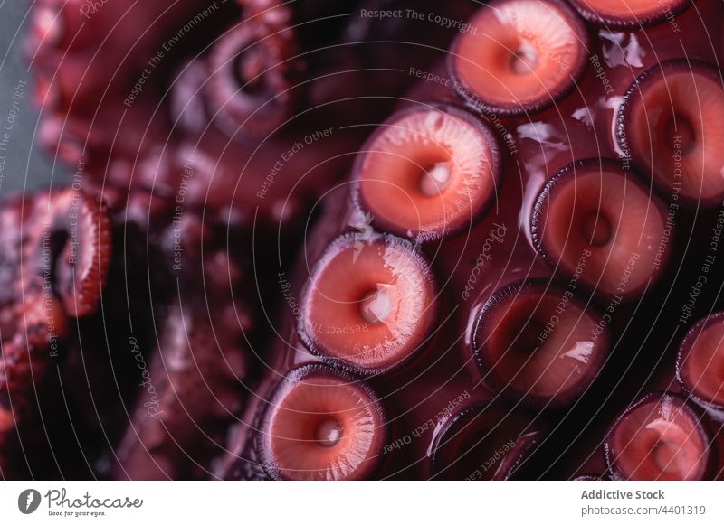 Oktopus mit roten Tentakeln auf dunklem Tisch Octopus Saugnapf roh frisch Meeresfrüchte Farbe ungekocht Produkt natürlich Lebensmittel rund Form Feinschmecker