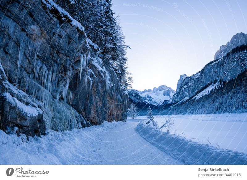 Winterwunderland am vorderen Gosausee in Österreich - im Hintergrund der Dachstein Vorderer Gosausee Landschaft Schnee Eis Idylle Eiszapfen Berge u. Gebirge