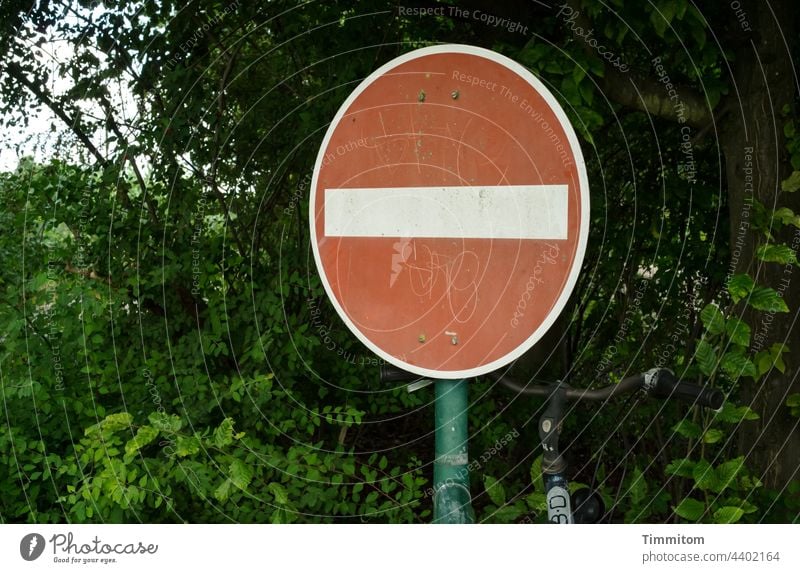 Neulich in Nürnberg...Einfahrt verboten Verkehrszeichen Verbotsschild rot weiß Gebüsch grun Fahrrad abgestellt Schilder & Markierungen Verkehrsschild