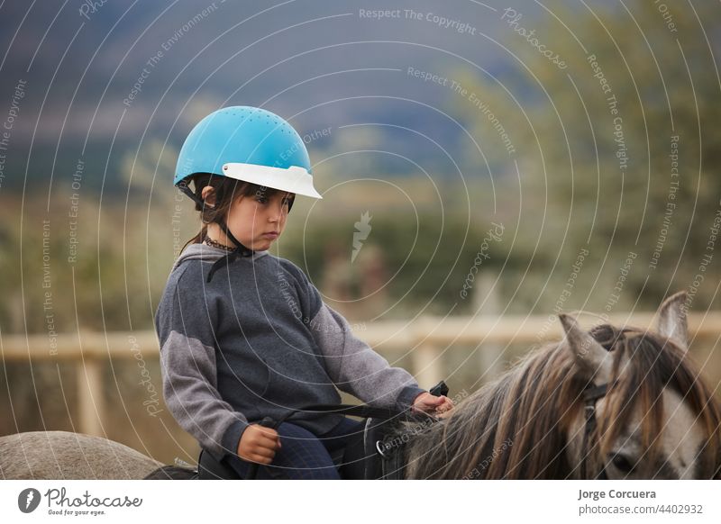 5 Jahre altes Mädchen reitet auf einem Pferd, in einem Hipico Club. infalltil sport concept Reiten jung Natur Kind Tier heiter Sport Sattel Hengst Dressur Frau