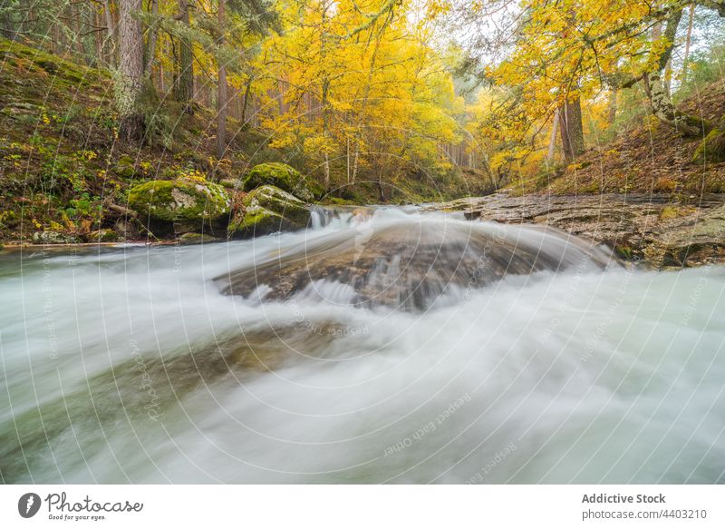 Fluss mit schnellen Wasserläufen in den Bergen Wasserfall Berge u. Gebirge Bewegung dynamisch Energie Kraft Natur Hochland fallen fließen Landschaft Herbst Baum