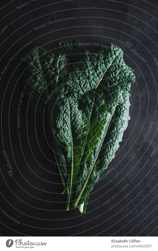 Cavolo nero schwarzer Grünkohl auf schwarzem Untergrund Lebensmittel Kale Kohlgewächse toskanisch Handfläche Toskana-Kohl Blatt italienischer Grünkohl