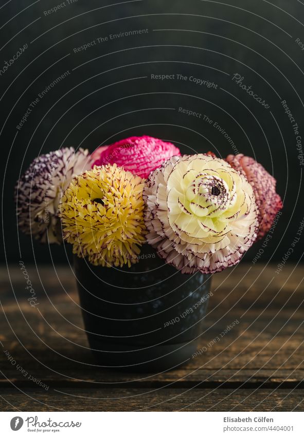 Ranunkelblüten in einer Vase Blütezeit Blumenstrauß elegant keine Person Sommer keine Menschen Pastell Ranunculus romantisch Stillleben Überstrahlung botanisch