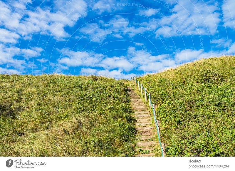 Treppenaufgang in den Dünen bei Hirtshals in Dänemark Küste Nordsee Skagerrak Sommer Dünengras Treppengeländer Natur Jütland Hjørring Hjorring Landschaft Himmel