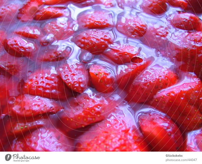 erdbeermeer rot glänzend süß lecker Speise Leibgericht Gesundheit Erdbeeren Makroaufnahme Strukturen & Formen gelatine Reflexion & Spiegelung