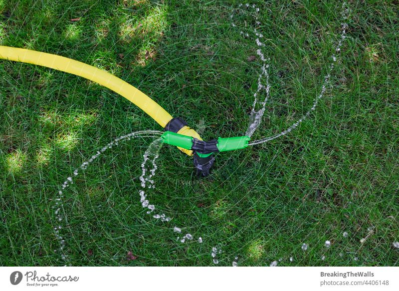 Gartenbewässerungssystem zur Bewässerung von Rasenflächen Gras grün System automatisch bewässern Wasser Tag sonnig hoher Winkel Ansicht Nahaufnahme bestäuben