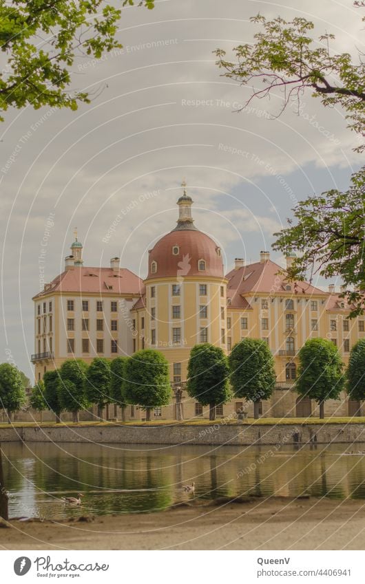 Schloss Moritzburg Dresden Sachsen Burg oder Schloss Architektur Reflexion & Spiegelung Sehenswürdigkeit Tourismus Gebäude Deutschland Ferien & Urlaub & Reisen