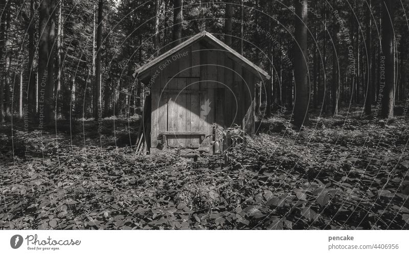 besetzt | oder frei? Wald Hütte Holzhütte schwarz-weiß Einsamkeit Haus Menschenleer Natur Holzhaus Blockhaus Architektur Außenaufnahme natürlich