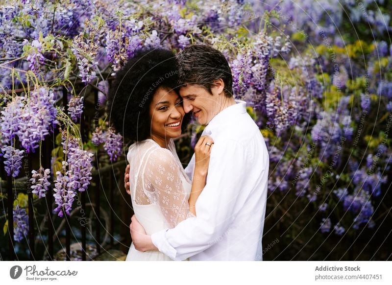 Sanftes multiethnisches Paar umarmt sich im Garten mit Glyzinienblüten Umarmen Blume Partnerschaft Park Liebe Umarmung Inhalt romantisch vielfältig