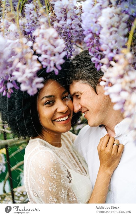 Sanftes multiethnisches Paar umarmt sich im Garten mit Glyzinienblüten Umarmen Blume Partnerschaft Park Liebe Umarmung Inhalt romantisch vielfältig