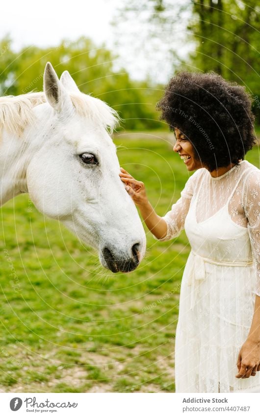 Schwarze Frau streichelt graues Pferd auf dem Lande Streicheln Landschaft Lächeln Kraulen Wiese Tier ländlich rassenübergreifend schwarz Afroamerikaner Glück