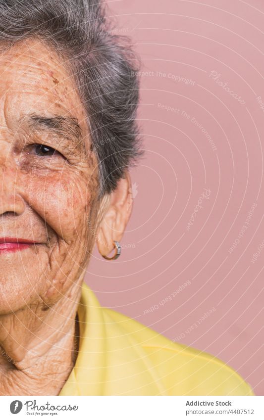 Ältere Frau mit grauem Haar schaut in die Kamera Senior Vorschein graues Haar älter braunes Auge Teint gealtert Porträt Atelier Stil Persönlichkeit Ernte