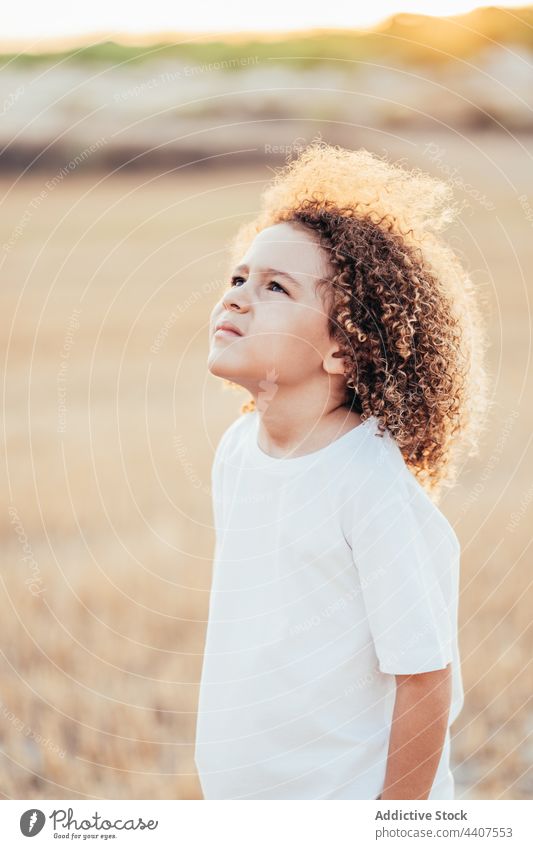 Unbekümmertes, lockig behaartes ethnisches Kind auf einem Feld krause Haare Afro-Look Frisur bezaubernd Sommer Sonnenlicht Inhalt sorgenfrei charmant Natur Stil
