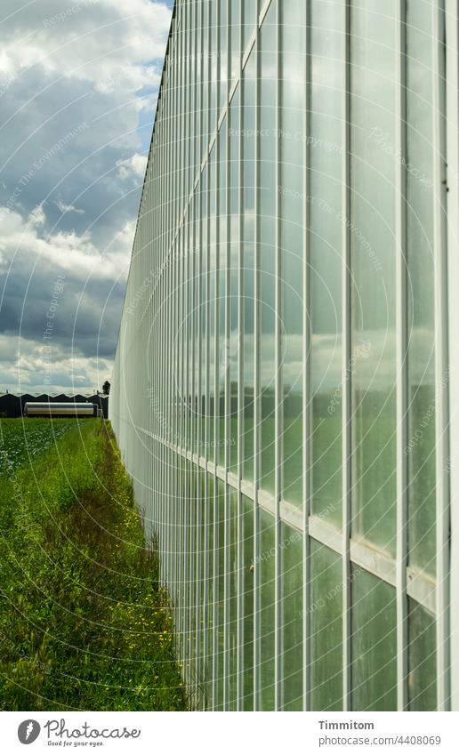 Neulich in Nürnberg...Gewächshaus u.a. Feld Gemüseanbau Himmel Wolken Menschenleer Landwirtschaft Nutzpflanze Pflanze Ackerbau Spiegelung Linien