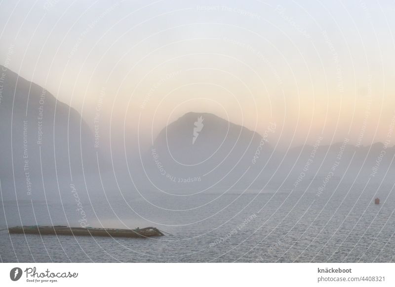 fjord im nebel um mitternacht Fjord Norwegen See Nusfjord Berge Berge u. Gebirge Wasser Landschaft Nebel Skandinavien Ferien & Urlaub & Reisen Außenaufnahme