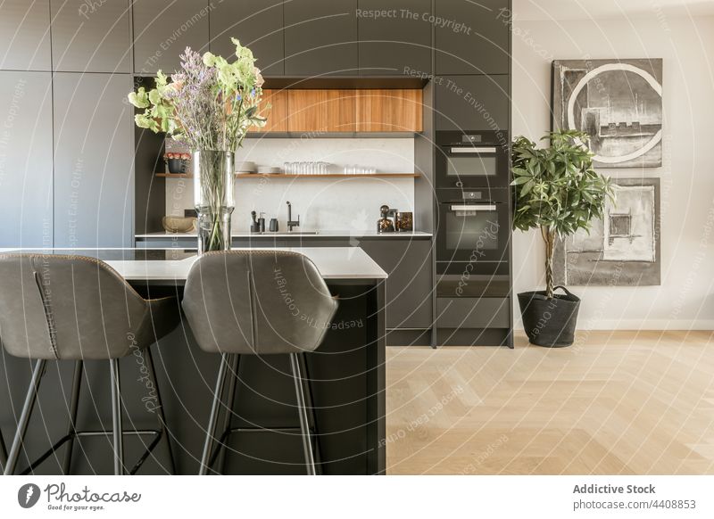 Interieur einer modernen geräumigen Küche Innenbereich grau Möbel Stil Design Blumentopf Pflanze Appartement flach Abfertigungsschalter Hocker eingetopft Topf