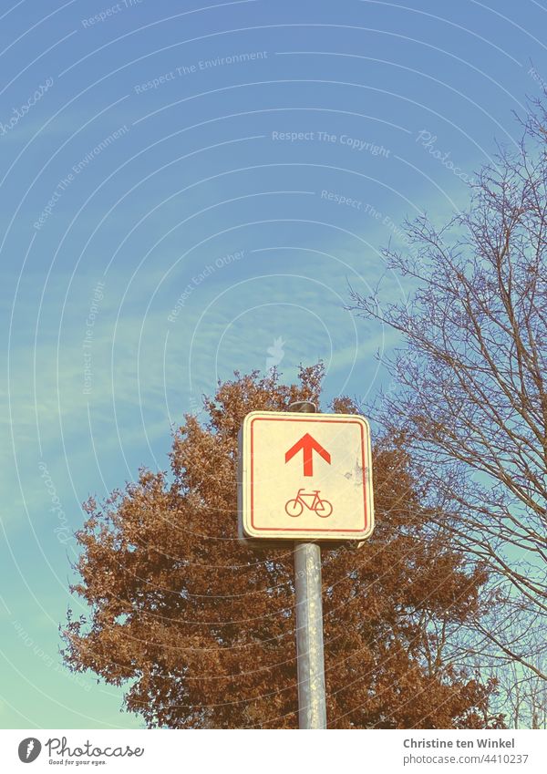 Radwegzeichen mit Fahrrad und Pfeil in rot auf weißem Grund, dahinter Bäume und blauer Himmel Radroute Fahrrradweg Richtung geradeaus Orientierung wegweiser