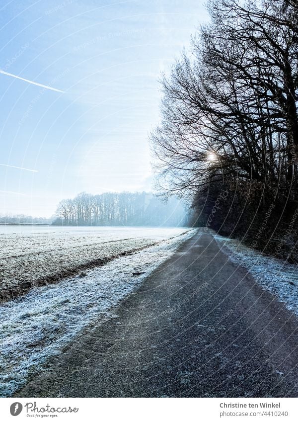 Eine schmale Straße am Waldrand an einem sonnigen und frostigen Wintermorgen Wintertag Sonnenschein Stillstand Frost Morgensonne Ruhe frostiger Morgen Natur