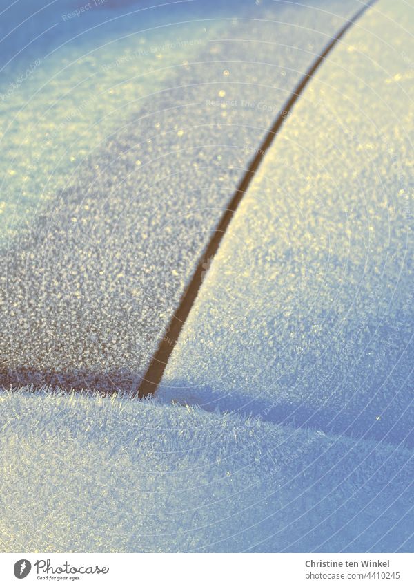 Ordnung im Chaos | der Eiskristalle, die nach einer frostigen Nacht eine glitzernde Fläche auf einem Autodach bilden. Frost überfroren kalte Nacht eiskalt