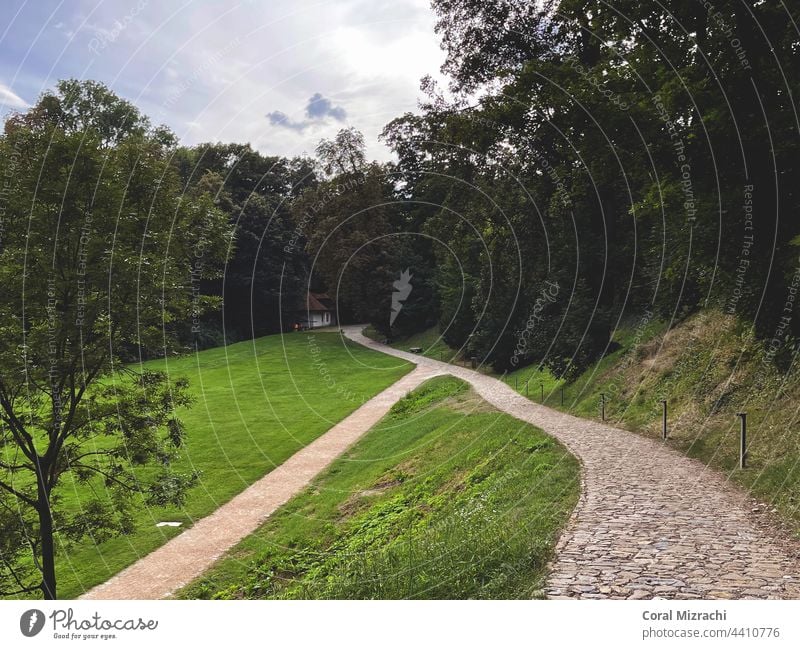 Ein Steinweg und eine unbefestigte Straße in einem Park mit klarem grünen Gras und Bäumen, Prag, Tschechische Republik Baum Wiese Natur Menschenleer