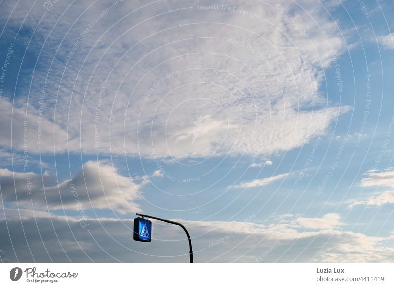 Hinweisschild 'Zebrastreifen' im Himmel blau blauer Himmel schönes Wetter Wolken Außenaufnahme Farbfoto Sonnenlicht Sommer Tag Froschperspektive Umwelt Licht
