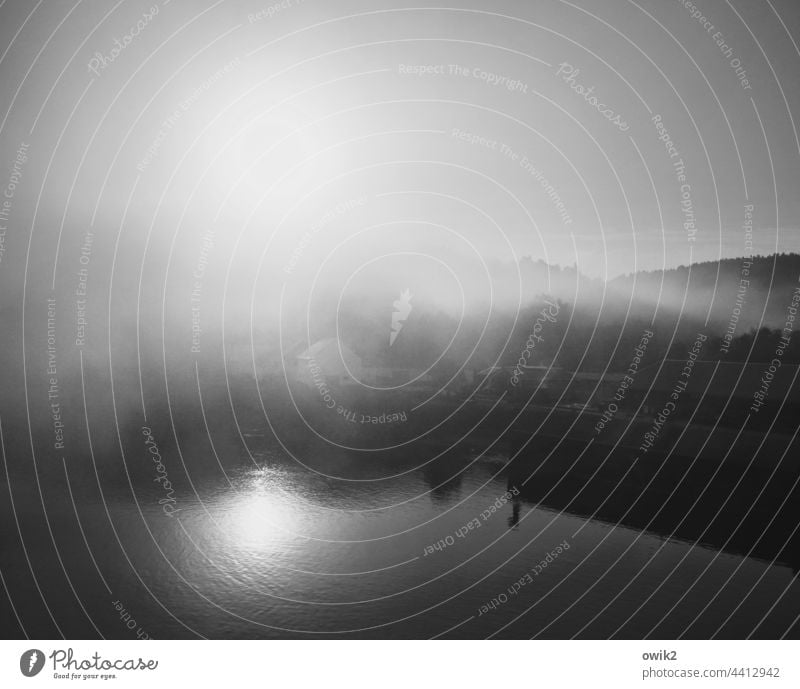Verschleiert Nebel Panorama (Aussicht) Licht glänzend Ufer geheimnisvoll mystisch Natur Wasser Morgen Herbst Menschenleer Wasserspiegelung windstill schemenhaft