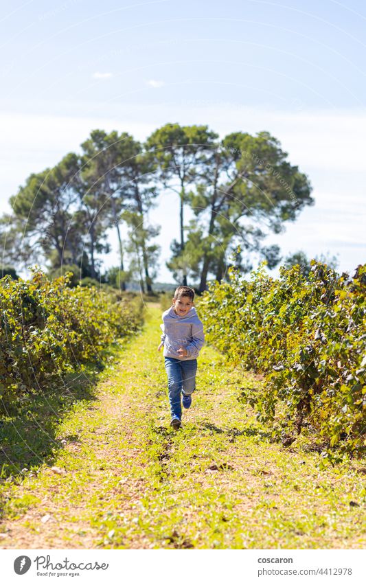 Kleiner Junge läuft und wirft einen Weinberg Ackerbau Herbst Baby Bruder Pflege Kind Kindheit Kinder farbenfroh Land Familie Feld Lebensmittel Frucht Spaß
