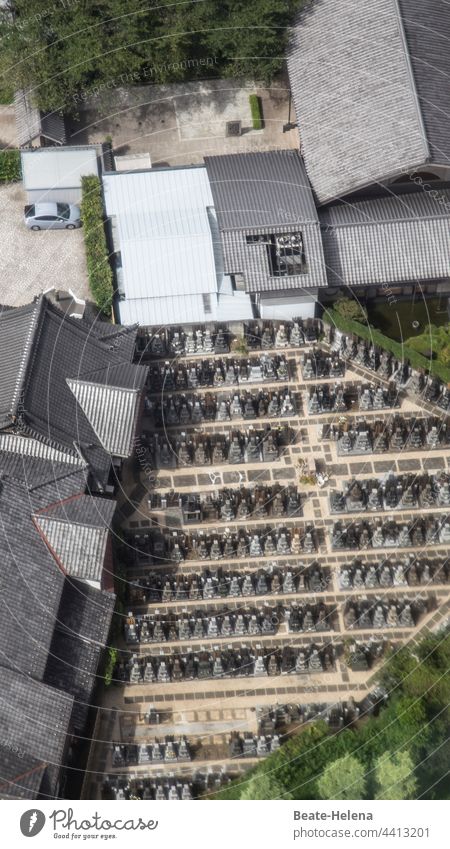 Friedhof in Tokio Japan Asien Gräber Grabstein Tod Vergänglichkeit Religion & Glaube Beerdigung