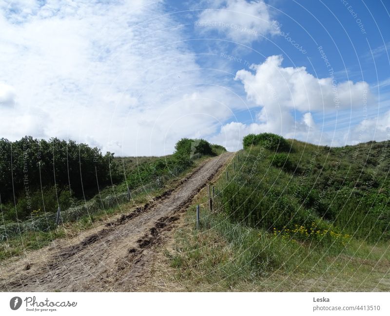 Weg bergauf durchs Grüne mit Himmel und Wolken auf Langeoog Wege & Pfade Erfolg Beharrlichkeit durchhalten Zukunft Zuversicht" Landschaft grün blau