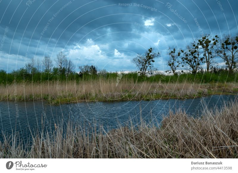 Teich mit Schilf und bewölktem Himmel, Stankow, Polen Schilfrohr wolkig Natur See Wasser Cloud Landschaft im Freien Baum Gras Sommer grün Hintergrund Pflanze