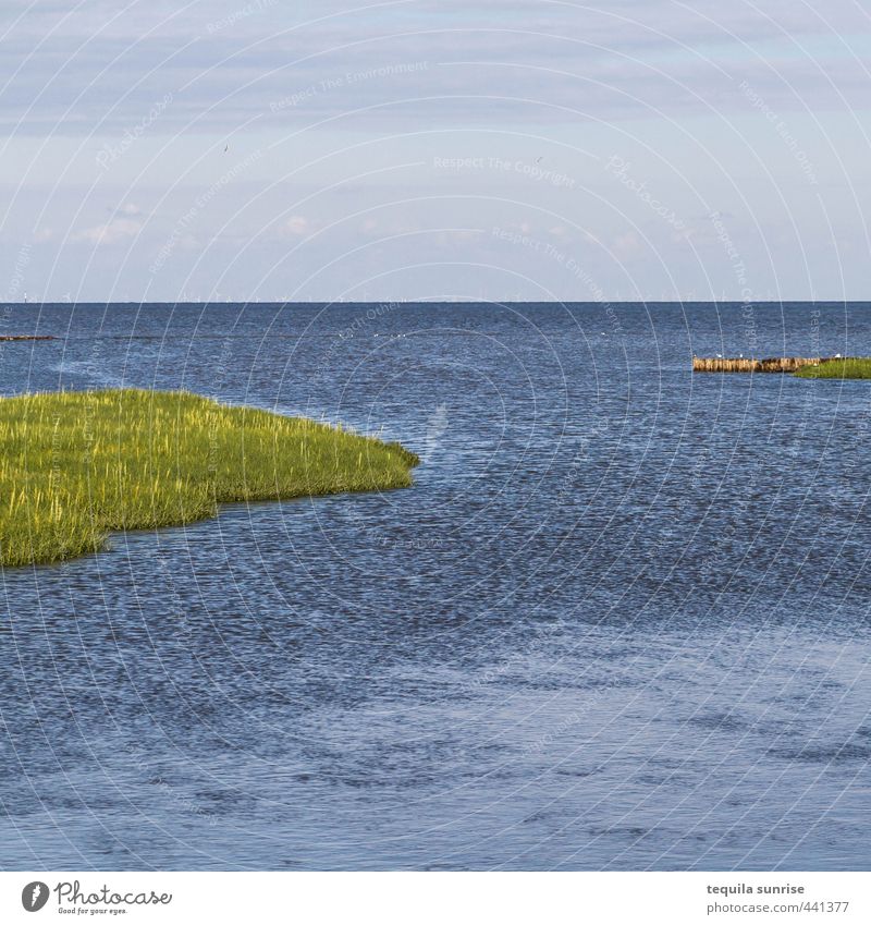 Neuwerk Ostschleuse Umwelt Natur Landschaft Wasser Sommer Gras Wellen Küste Bucht Nordsee Insel blau grün Ferien & Urlaub & Reisen ruhig Erholung Farbfoto