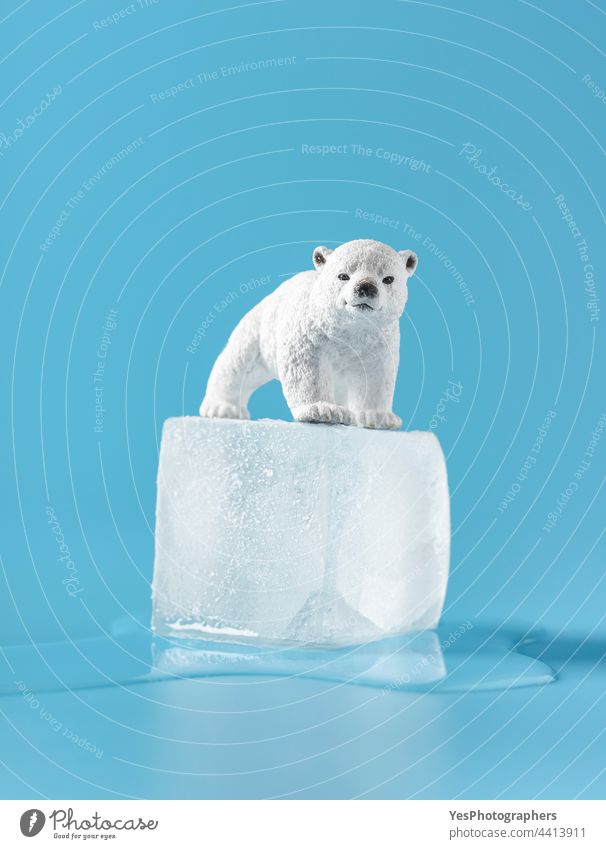 Globale Erwärmung Konzept. Eiswürfel schmelzen auf einem blauen Hintergrund. allein Tiere Antarktis arktische Baby Bär Wandel & Veränderung Klima Farbe