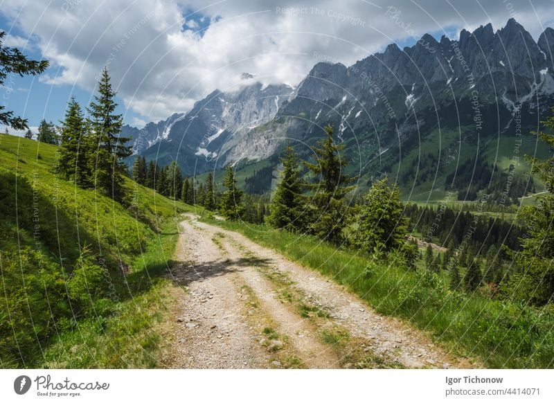 Wanderweg rund um den Wilden Kaiser, Tirol - Österreich kaiser wilder Weg Berge Berge u. Gebirge Nachlauf Landschaft ellmau Europa Sommer Alpen Natur grün
