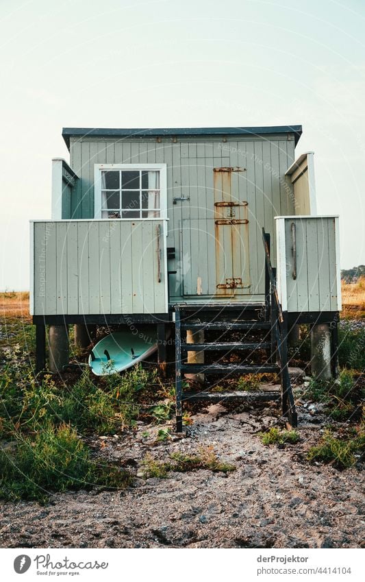 Strandhaus auf der hyggeligen Insel Ærø in Dänemark XI relaxation erholen & entspannen" Freiheit Sommer Außenaufnahme Ostsee Tourismus Hintergrund neutral