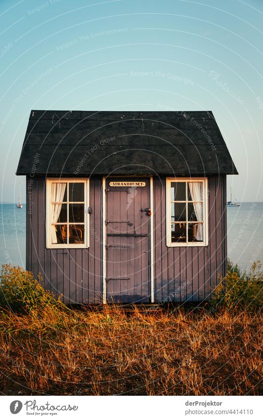 Strandhaus auf der hyggeligen Insel Ærø in Dänemark IX relaxation erholen & entspannen" Freiheit Sommer Außenaufnahme Ostsee Tourismus Hintergrund neutral