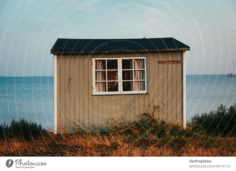 Strandhaus auf der hyggeligen Insel Ærø in Dänemark X relaxation erholen & entspannen" Freiheit Sommer Außenaufnahme Ostsee Tourismus Hintergrund neutral