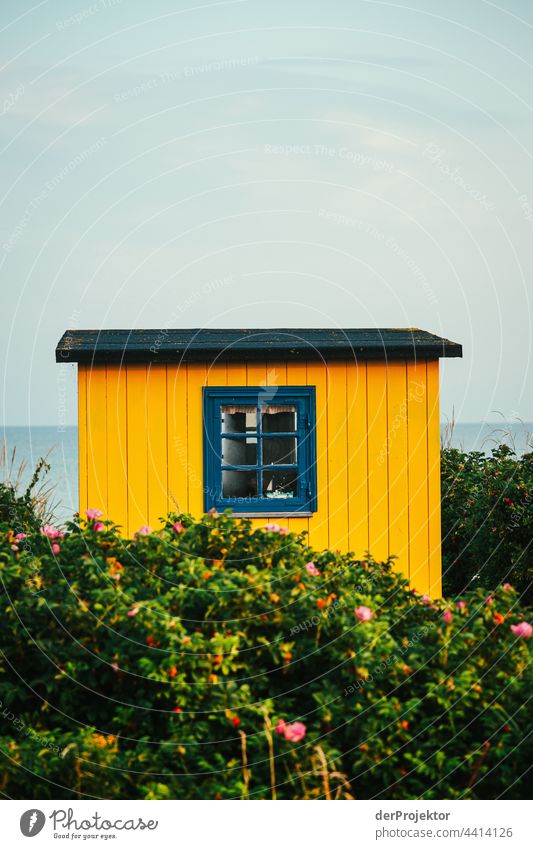Strandhaus auf der hyggeligen Insel Ærø in Dänemark VIII relaxation erholen & entspannen" Freiheit Sommer Außenaufnahme Ostsee Tourismus Hintergrund neutral