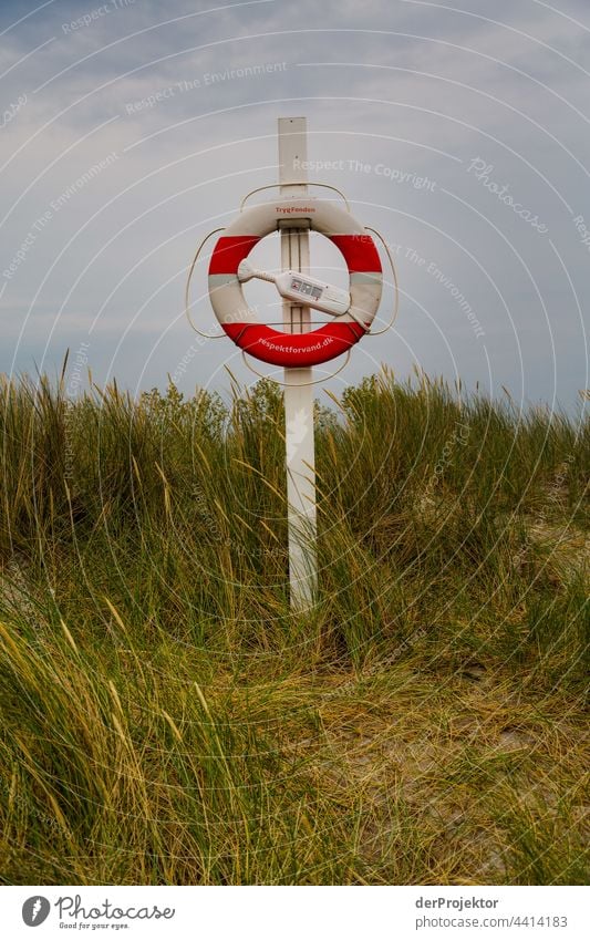 Rettungsring auf der hyggeligen Insel Ærø in Dänemark XII relaxation erholen & entspannen" Freiheit Sommer Außenaufnahme Ostsee Tourismus Hintergrund neutral
