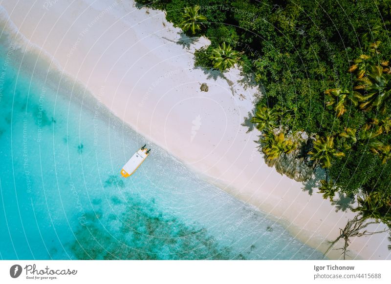 Luftaufnahme eines exotischen tropischen Sandstrandes mit blauer Lagune, Palmen und einem festgemachten Boot von oben Strand Antenne MEER Handfläche reisen