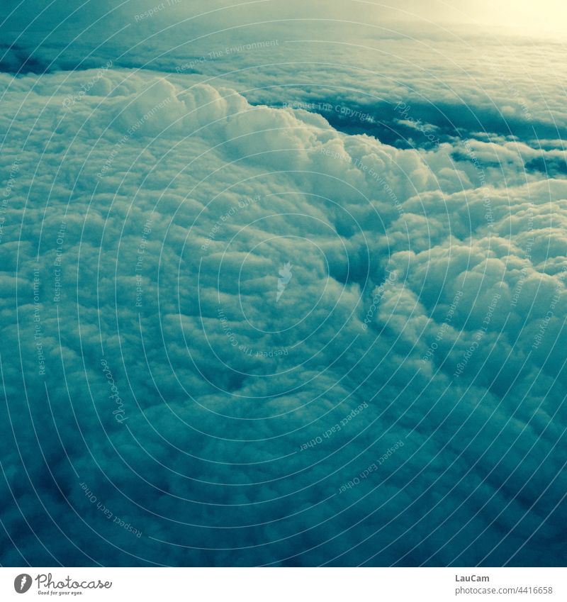 Da braut sich was zusammen - imposante Wolkenformation beim Blick aus dem Flugzeug Wolkenhimmel Klima Klimawandel Himmel Wetter Wolkendecke Wolkenfeld