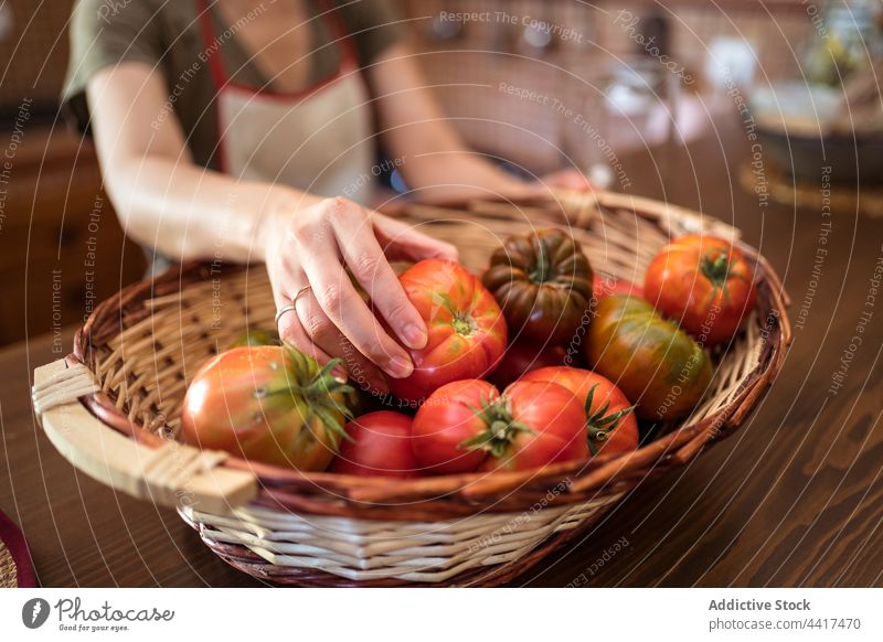 Reife Tomaten im Weidenkorb auf dem Tisch Ernte reif Korb Haufen frisch Gemüse rustikal Küche organisch essbar Vitamin roh Lebensmittel Gesundheit lecker